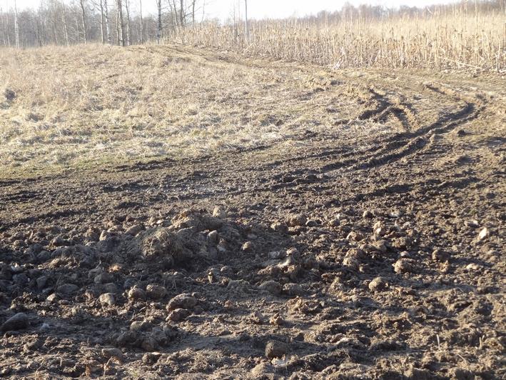 Możliwości przemieszczania się dzików: Według danych EFSA (2014)