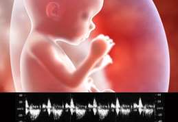 (NIDCAP) In utero ciepło cicho przyjemnie słyszę Mamę!