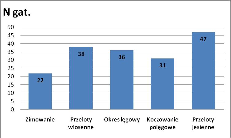 Ryc. 7. Średnie zagęszczenie ptaków na 1 h/1 kontrolę w kolejnych okresach fenologicznych na liczeniach punktowych. Liczba notowanych gatunków w kolejnych okresach była zmienna (ryc. 8).