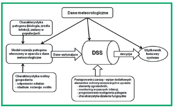 Kapsa, 2011) Zastosowanie dss NegFry: 1. Ograniczenie liczby zabiegów w roku o 3-5 (średnio 38%). 2. Redukcja kosztów ochrony 1 hektara ziemniaków na poziomie ok.