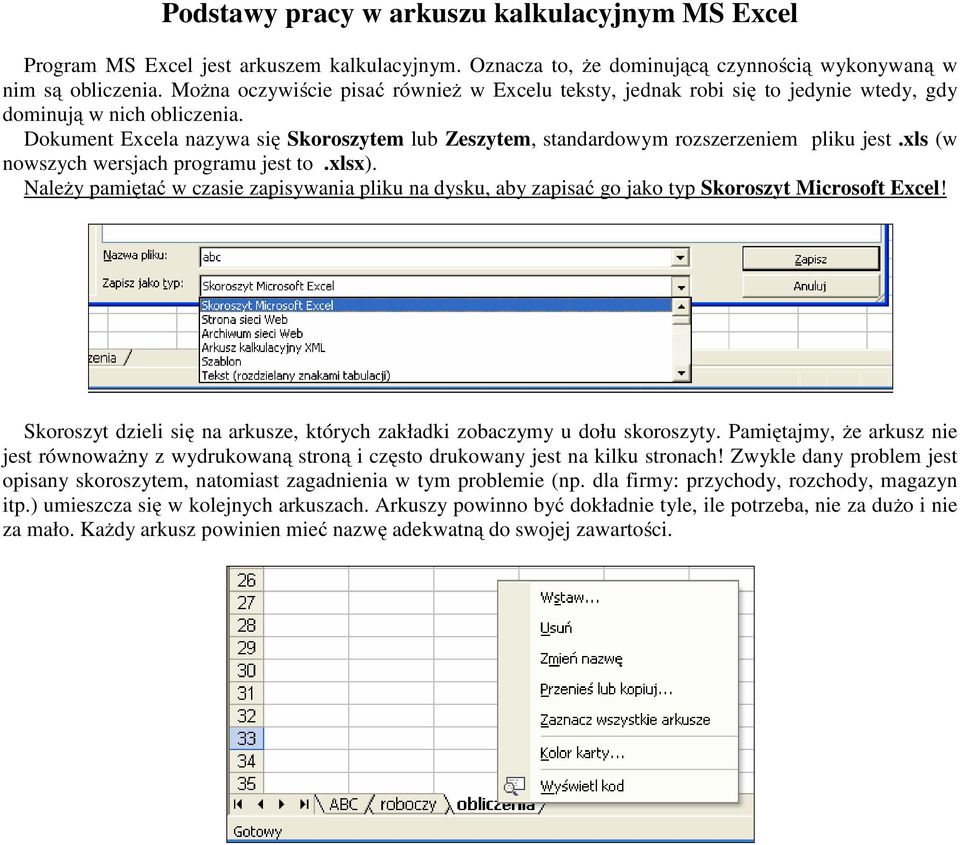 Dokument Excela nazywa się Skoroszytem lub Zeszytem, standardowym rozszerzeniem pliku jest.xls (w nowszych wersjach programu jest to.xlsx).