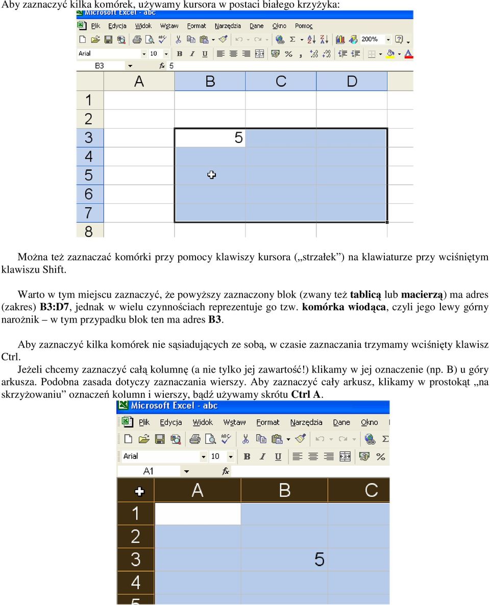komórka wiodąca, czyli jego lewy górny narożnik w tym przypadku blok ten ma adres B3. Aby zaznaczyć kilka komórek nie sąsiadujących ze sobą, w czasie zaznaczania trzymamy wciśnięty klawisz Ctrl.