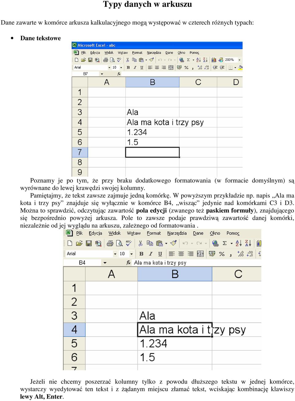 napis Ala ma kota i trzy psy znajduje się wyłącznie w komórce B4, wisząc jedynie nad komórkami C3 i D3.