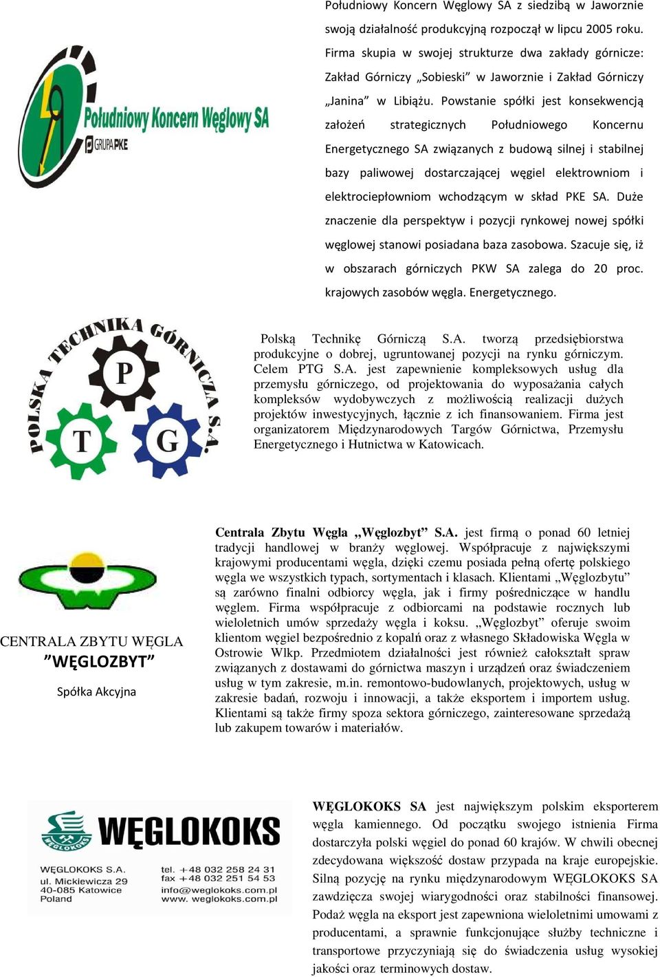 Powstanie spółki jest konsekwencją założeń strategicznych Południowego Koncernu Energetycznego SA związanych z budową silnej i stabilnej bazy paliwowej dostarczającej węgiel elektrowniom i