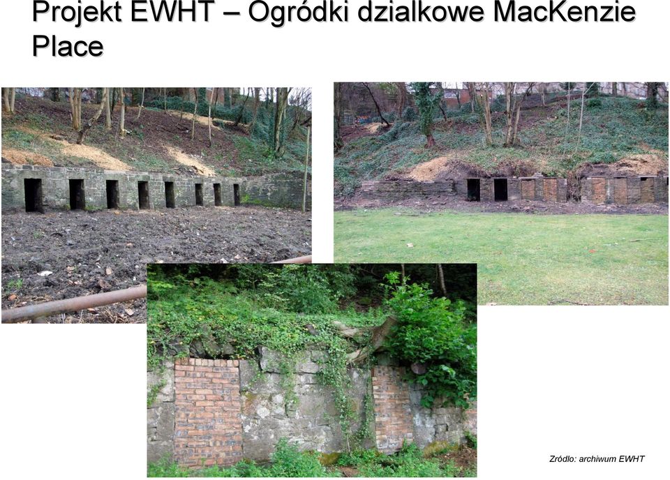 Ogródki