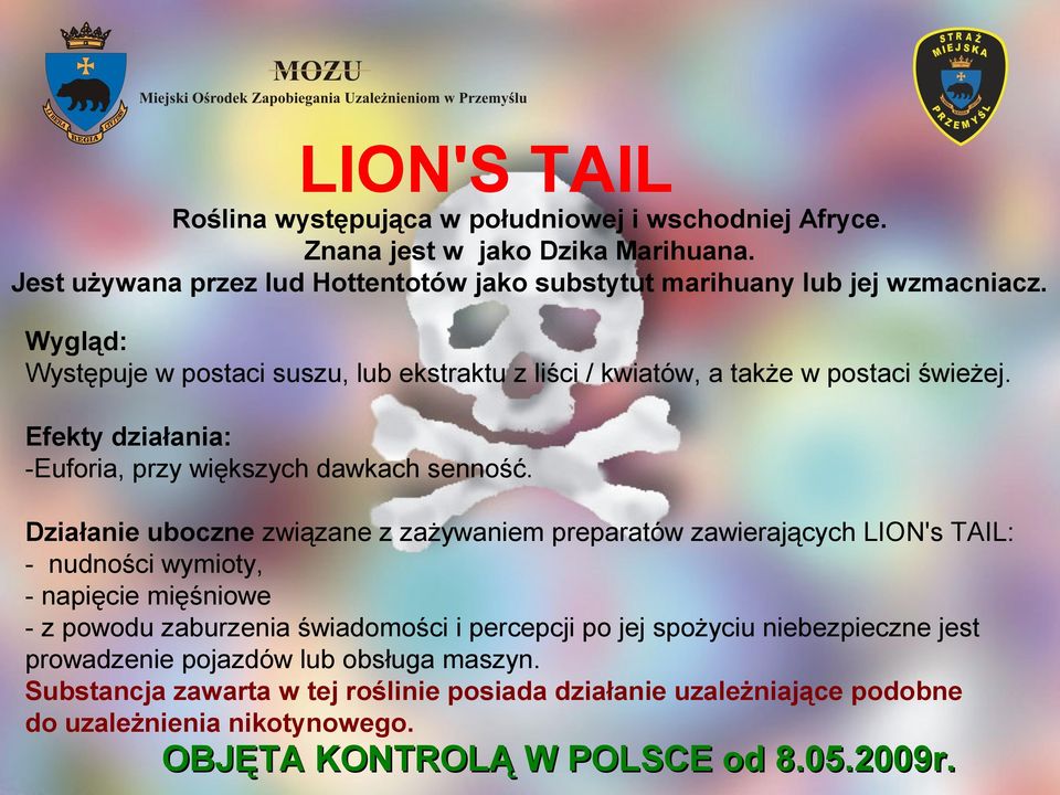 Działanie uboczne związane z zażywaniem preparatów zawierających LION's TAIL: - nudności wymioty, - napięcie mięśniowe - z powodu zaburzenia świadomości i percepcji po jej spożyciu