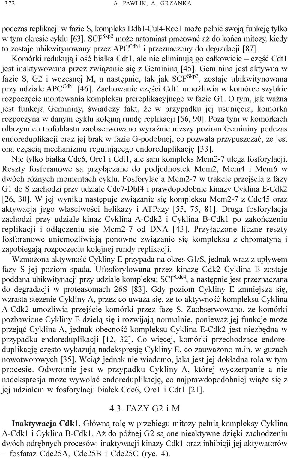 Komórki redukuj¹ iloœæ bia³ka Cdt1, ale nie eliminuj¹ go ca³kowicie czêœæ Cdt1 jest inaktywowana przez zwi¹zanie siê z Geminin¹ [45].