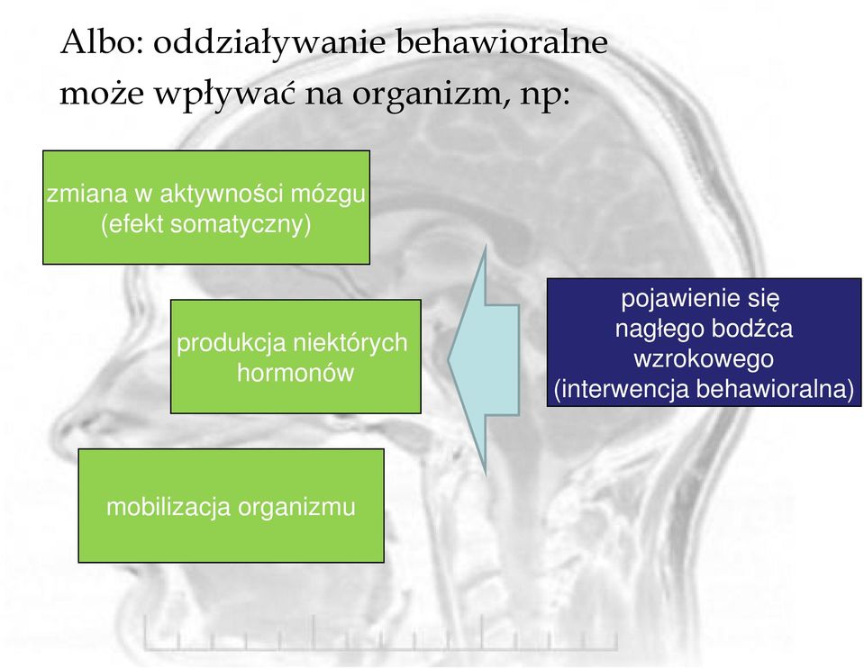 somatyczny) produkcja niektórych hormonów pojawienie się