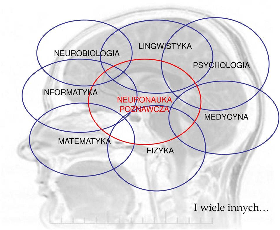 NEURONAUKA POZNAWCZA
