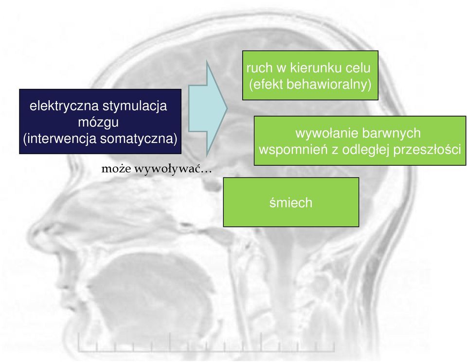celu (efekt behawioralny) wywołanie