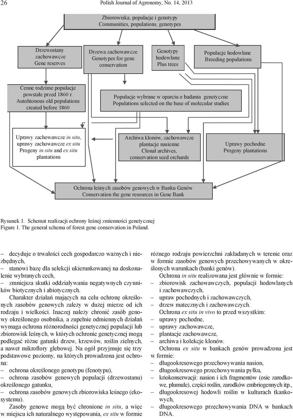 Populacje hodowlane Breeding populations Cenne rodzime populacje powstałe przed 1860 r.