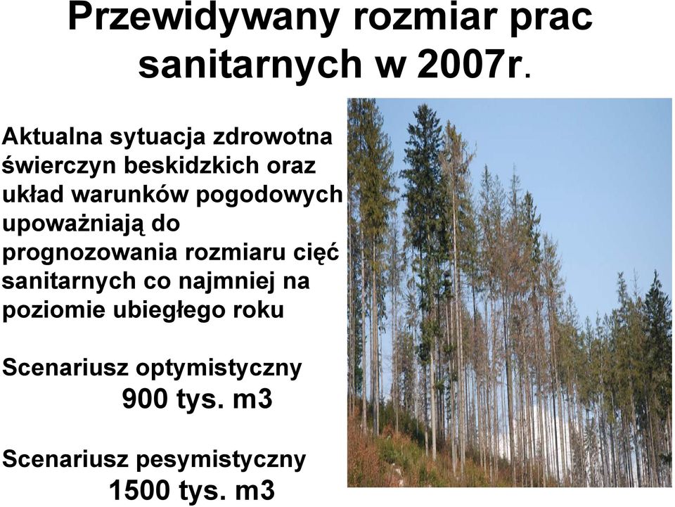 pogodowych upoważniają do prognozowania rozmiaru cięć sanitarnych co