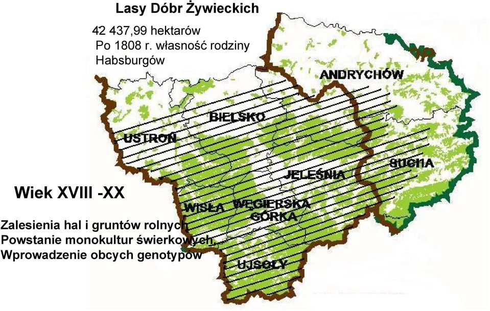 Zalesienia hal i gruntów rolnych Powstanie