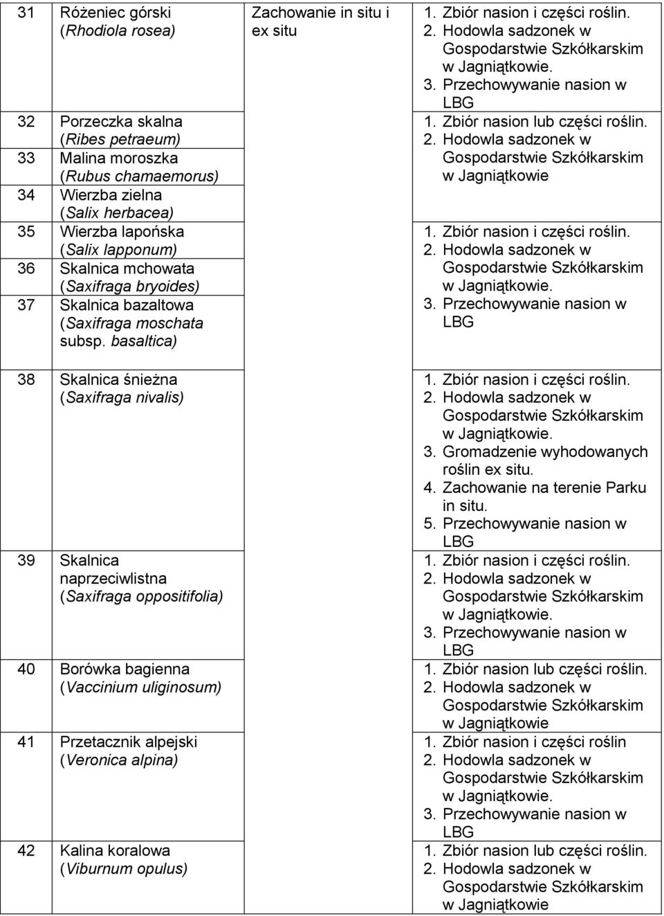 basaltica) 38 Skalnica śnieżna (Saxifraga nivalis) 39 Skalnica naprzeciwlistna (Saxifraga oppositifolia) 40 Borówka bagienna (Vaccinium uliginosum) 41 Przetacznik