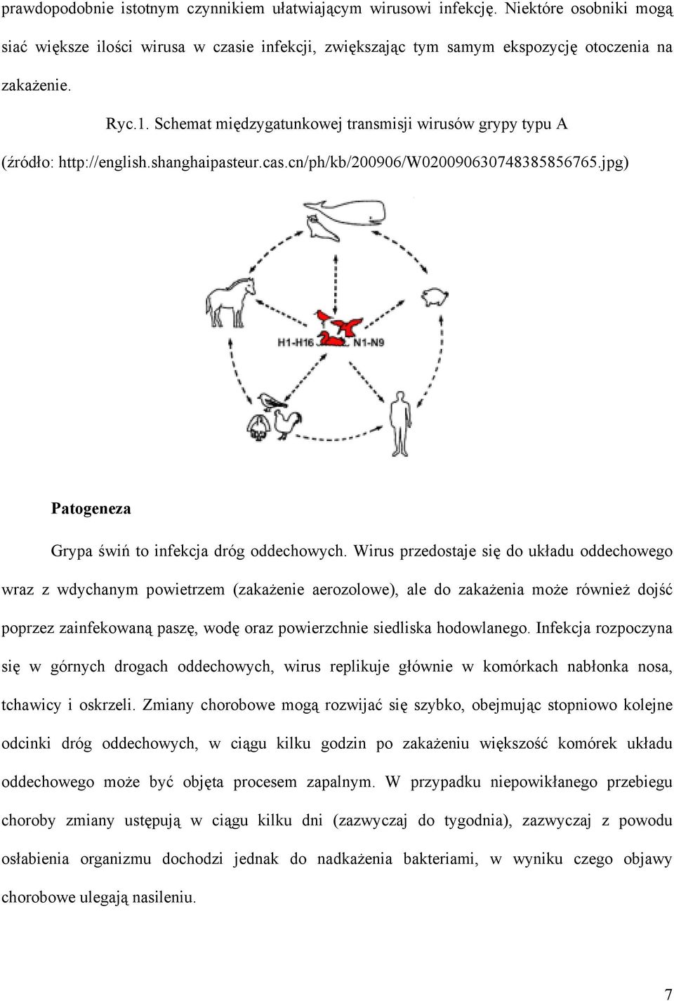 Wirus przedostaje się do układu oddechowego wraz z wdychanym powietrzem (zakażenie aerozolowe), ale do zakażenia może również dojść poprzez zainfekowaną paszę, wodę oraz powierzchnie siedliska