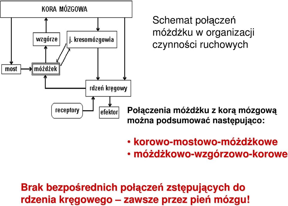 mostowo-móŝdŝkowemóŝdŝkowe móŝdŝkowo-wzgórzowo wzgórzowo-korowe Brak