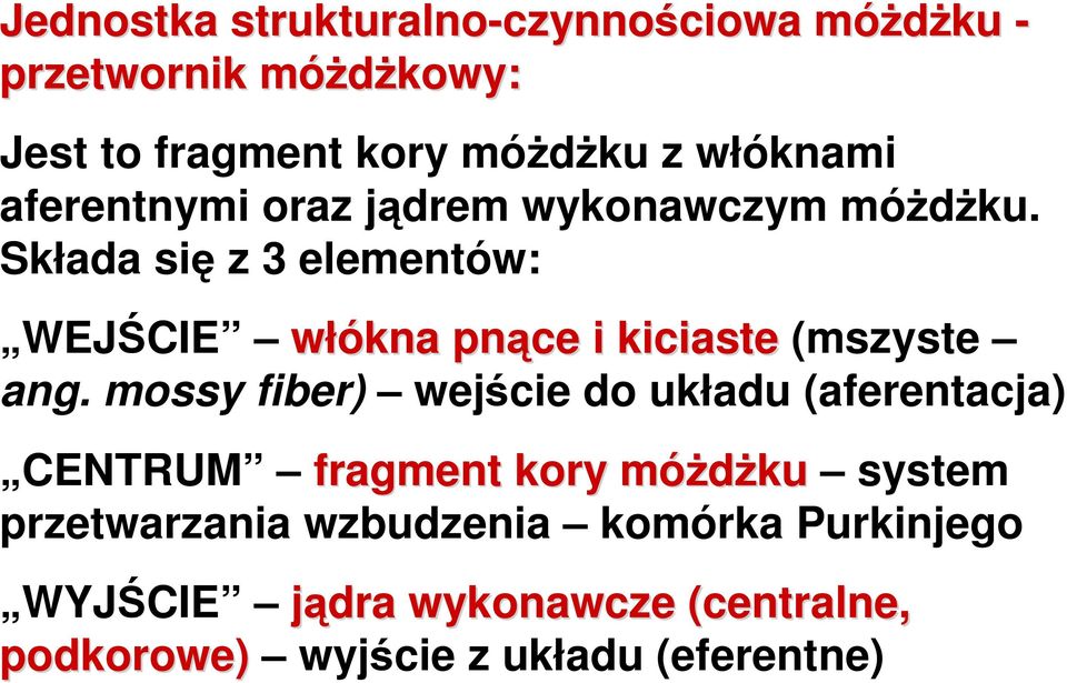 Składa się z 3 elementów: WEJŚCIE włókna pnące i kiciaste (mszyste ang.