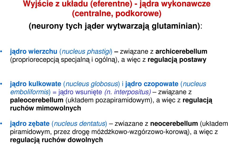 (nucleus emboliformis) = jądro wsunięte (n.