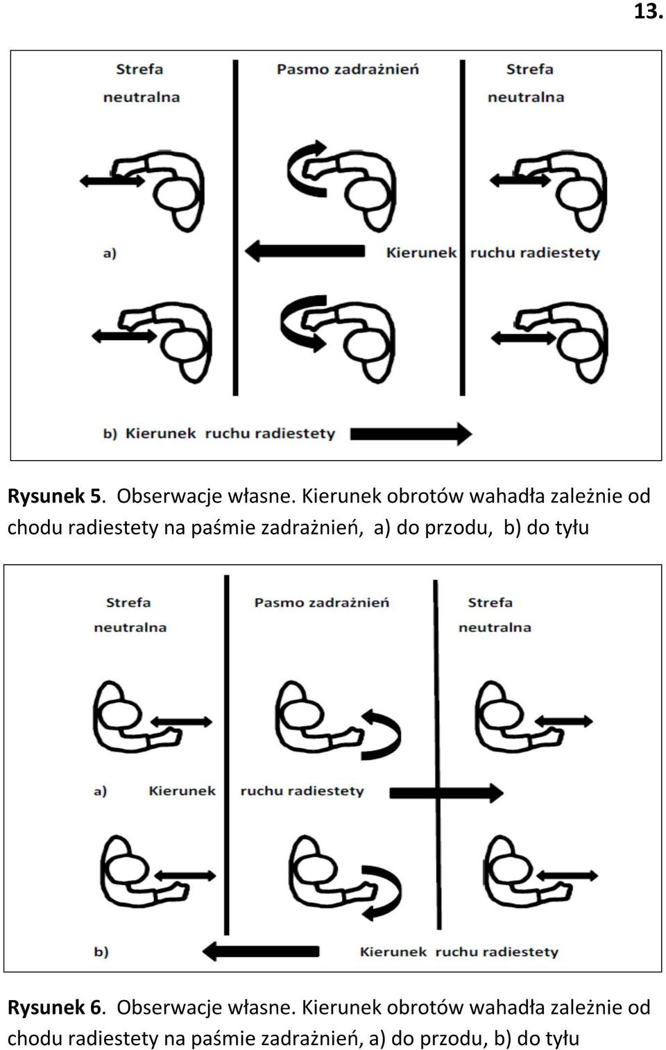 zadrażnień, a) do przodu, b) do tyłu Rysunek 6. Obserwacje własne.