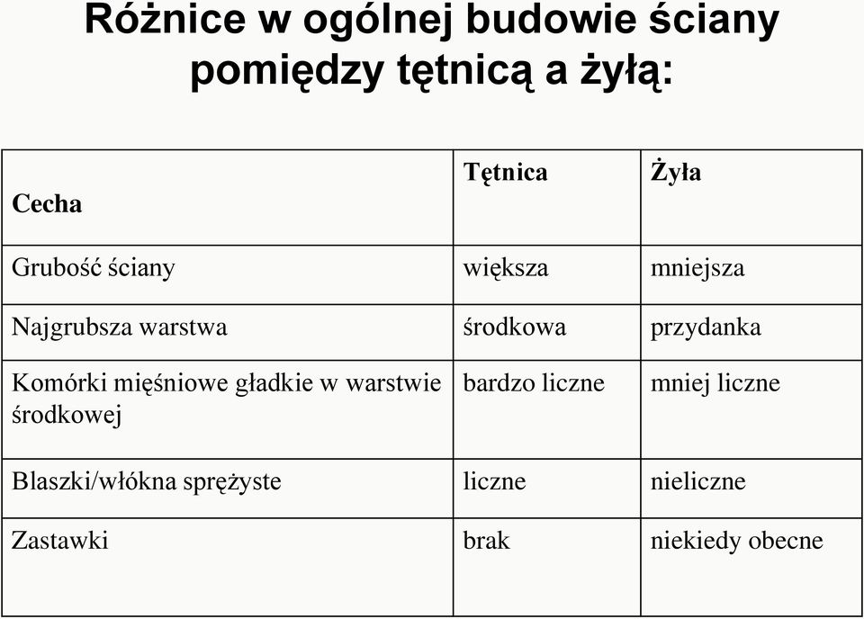 przydanka Komórki mięśniowe gładkie w warstwie środkowej bardzo liczne