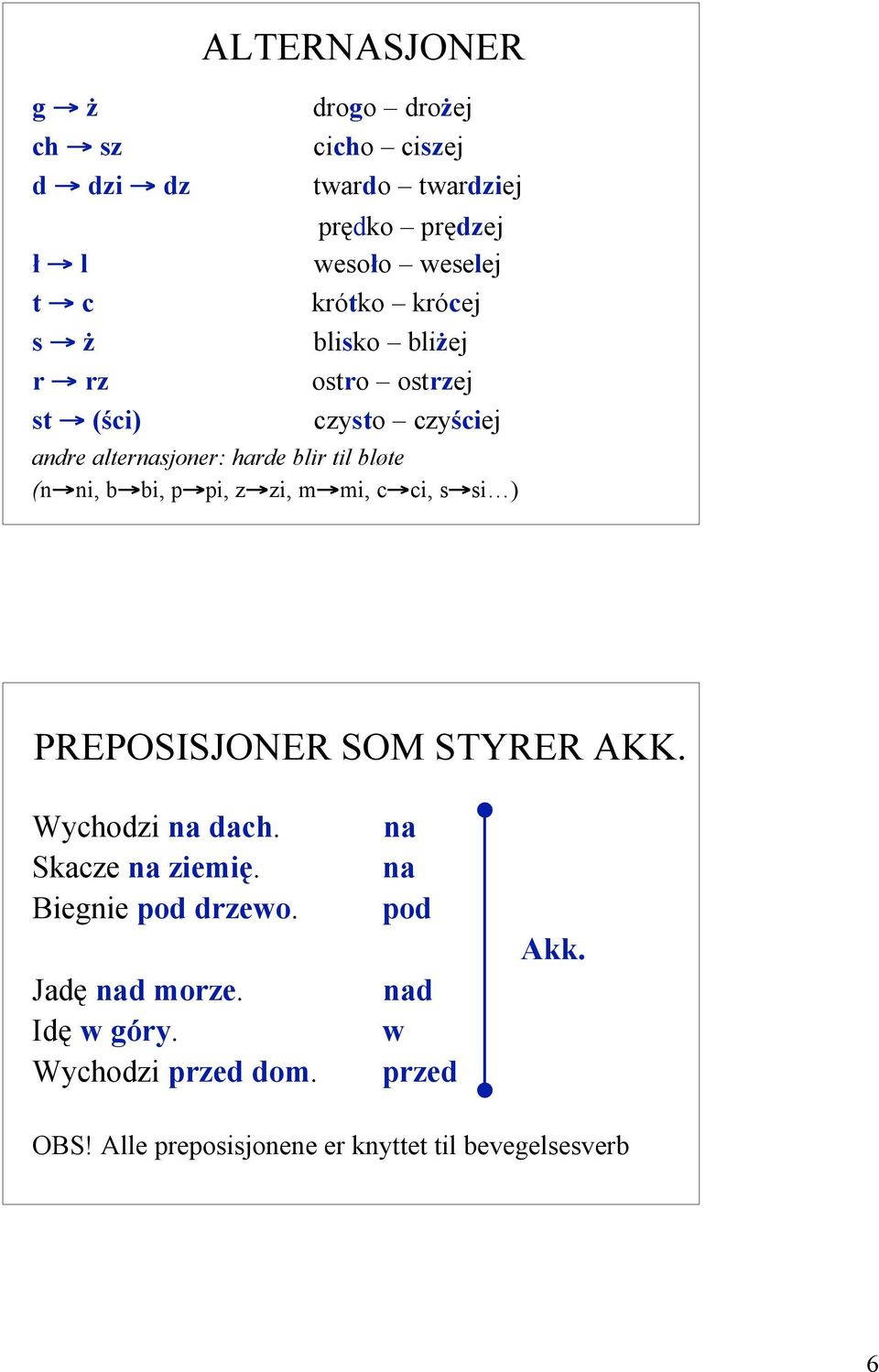 bi, p pi, z zi, m mi, c ci, s si ) PREPOSISJONER SOM STYRER AKK. Wychodzi na dach. Skacze na ziemię. Biegnie pod drzewo.