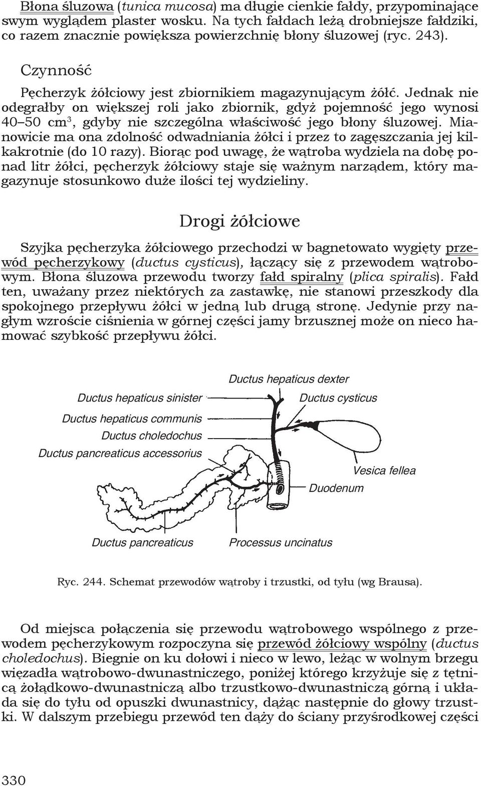 Jednak nie odegrałby on większej roli jako zbiornik, gdyż pojemność jego wynosi 40 50 cm 3, gdyby nie szczególna właściwość jego błony śluzowej.