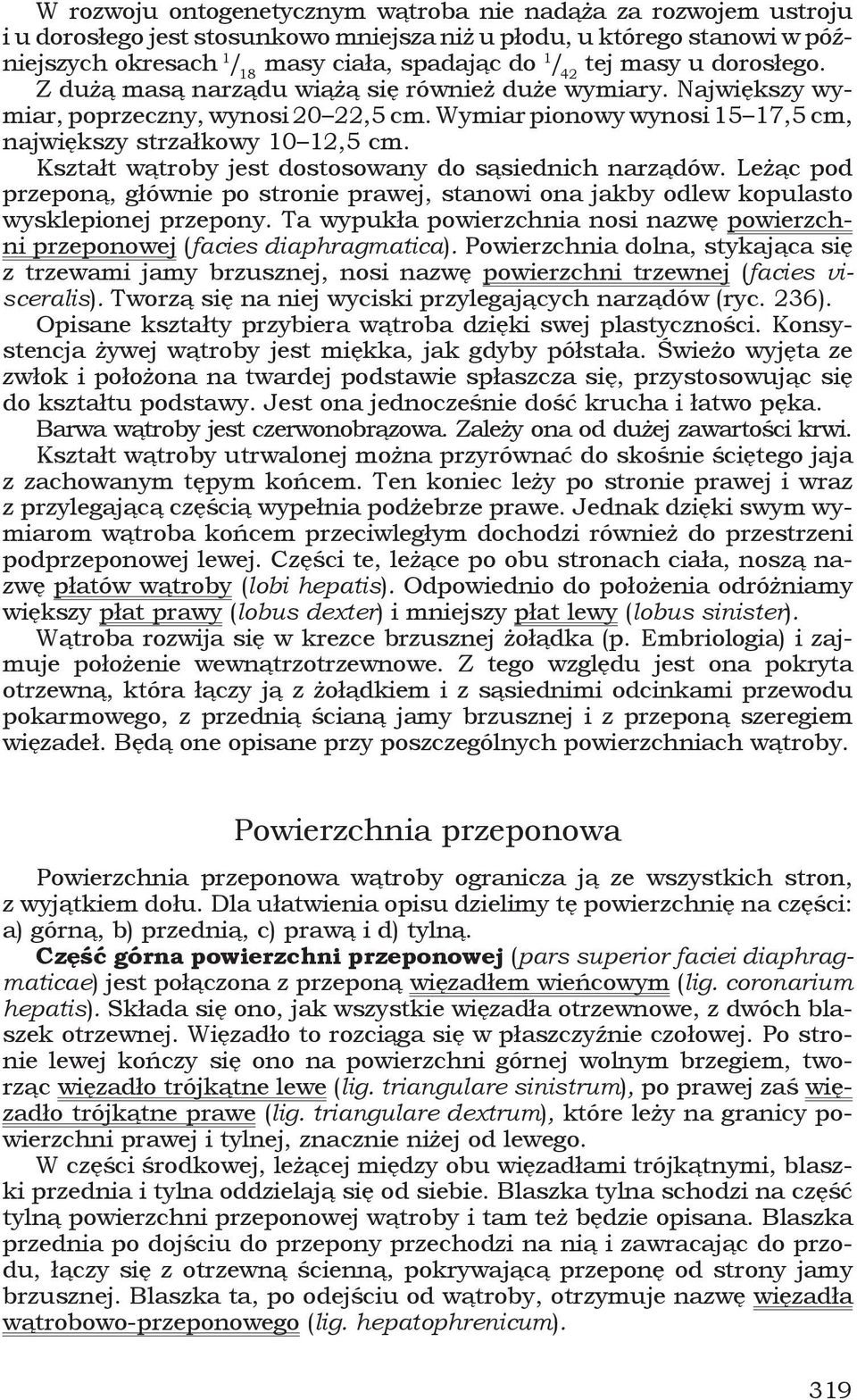 Kształt wątroby jest dostosowany do sąsiednich narządów. Leżąc pod przeponą, głównie po stronie prawej, stanowi ona jakby odlew kopulasto wysklepionej przepony.