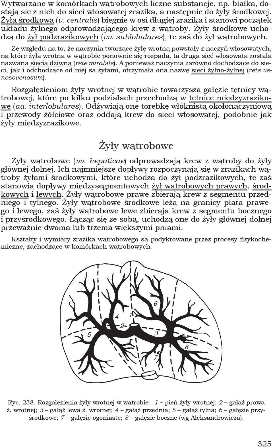 Ze względu na to, że naczynia tworzące żyłę wrotną powstały z naczyń włosowatych, na które żyła wrotna w wątrobie ponownie się rozpada, ta druga sieć włosowata została nazwana siecią dziwną (rete