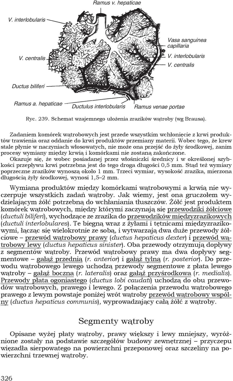 Wobec tego, że krew stale płynie w naczyniach włosowatych, nie może ona przejść do żyły środkowej, zanim procesy wymiany między krwią i komórkami nie zostaną zakończone.