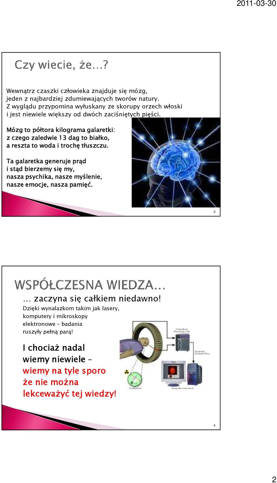 Mózg to półtora kilograma galaretki: z czego zaledwie 13 dag to białko, a reszta to woda i trochę tłuszczu.