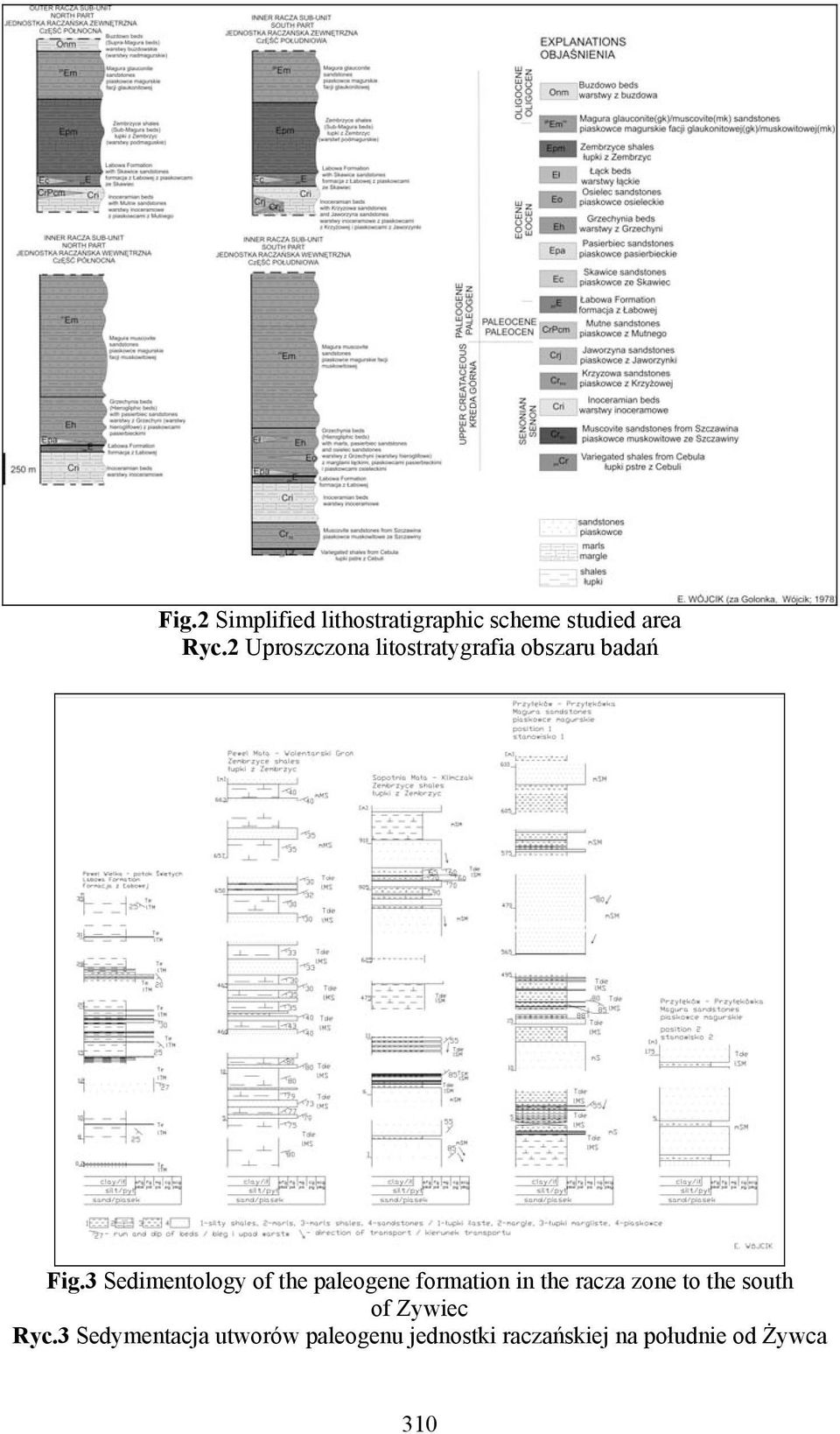 3 Sedimentology of the paleogene formation in the racza zone to the