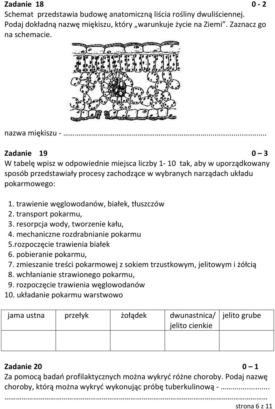 trawienie węglowodanów, białek, tłuszczów 2. transport pokarmu, 3. resorpcja wody, tworzenie kału, 4. mechaniczne rozdrabnianie pokarmu 5.rozpoczęcie trawienia białek 6. pobieranie pokarmu, 7.