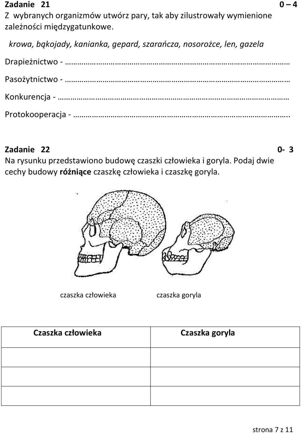 Protokooperacja -.. Zadanie 22 0-3 Na rysunku przedstawiono budowę czaszki człowieka i goryla.