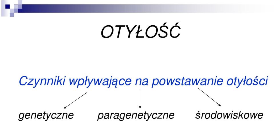 powstawanie otyłości