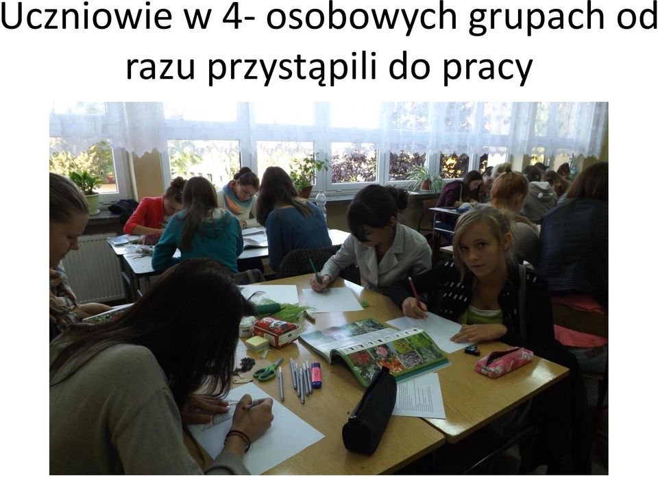 grupach od razu