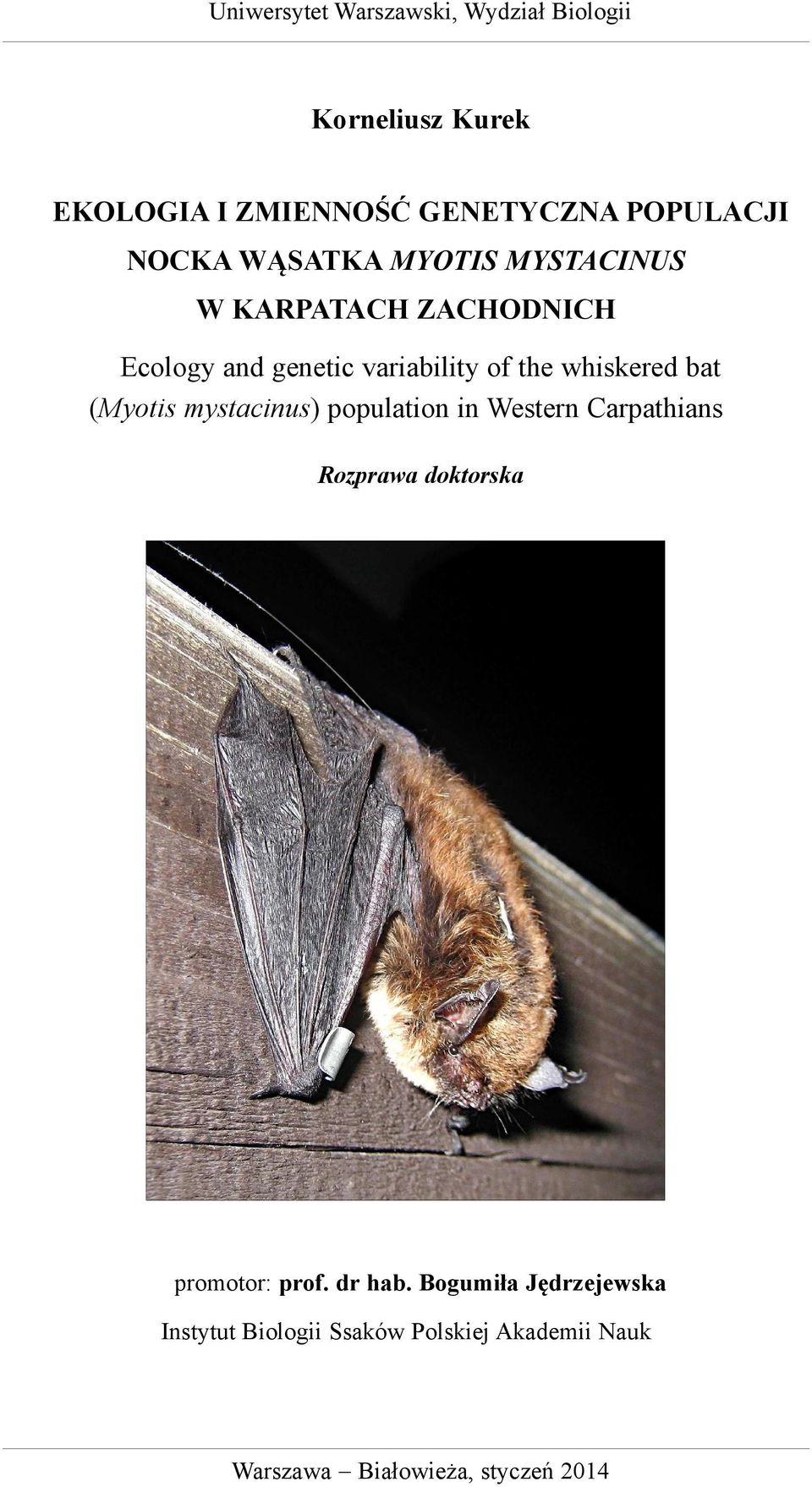 whiskered bat (Myotis mystacinus) population in Western Carpathians Rozprawa doktorska promotor: prof.
