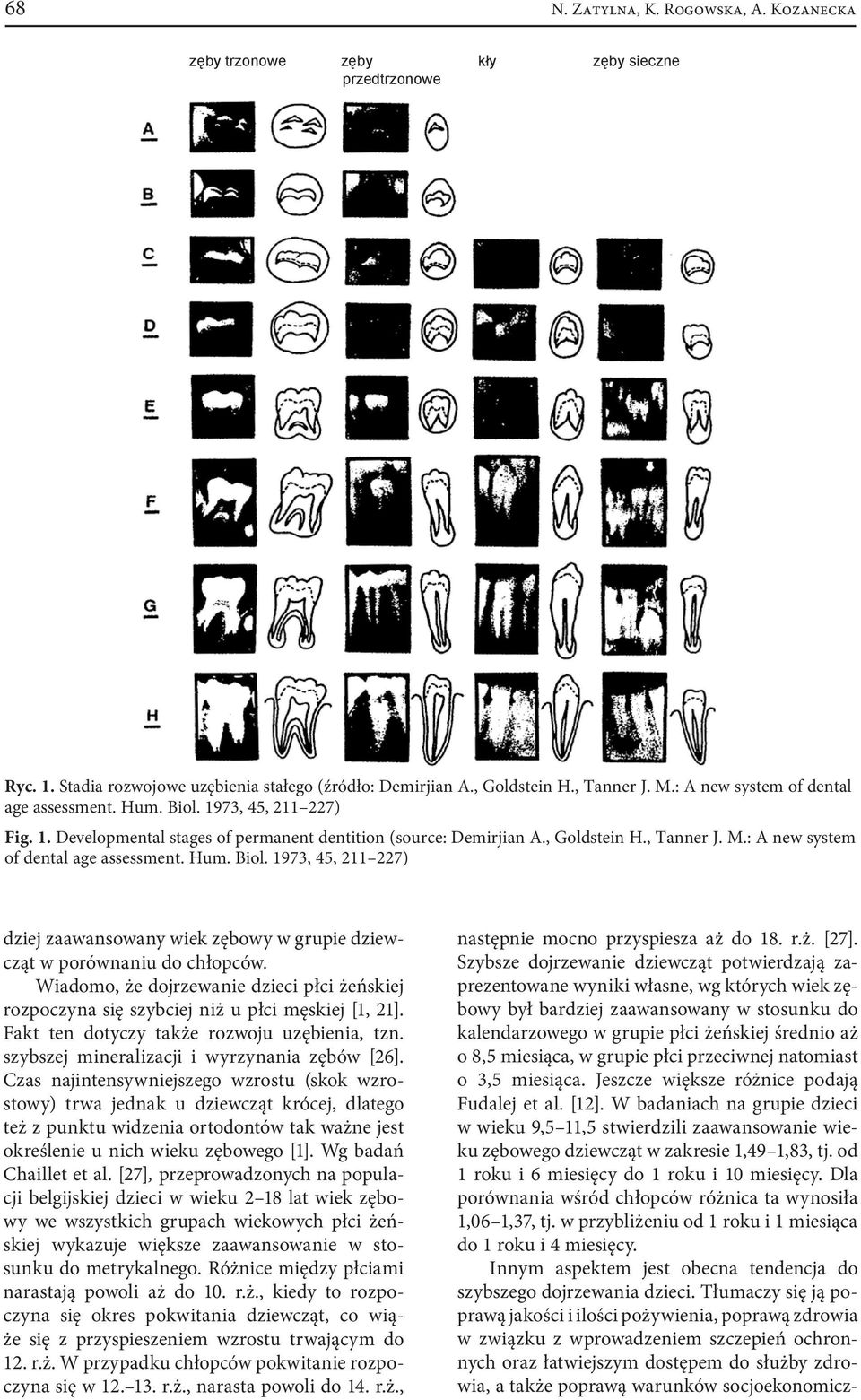 : A new system of dental age assessment. Hum. Biol. 1973, 45, 211 227) dziej zaawansowany wiek zębowy w grupie dziewcząt w porównaniu do chłopców.