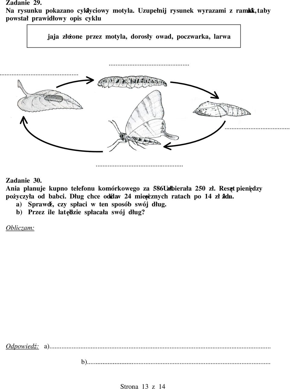 jaja złoone przez motyla, dorosły owad, poczwarka, larwa......... Zadanie 30.