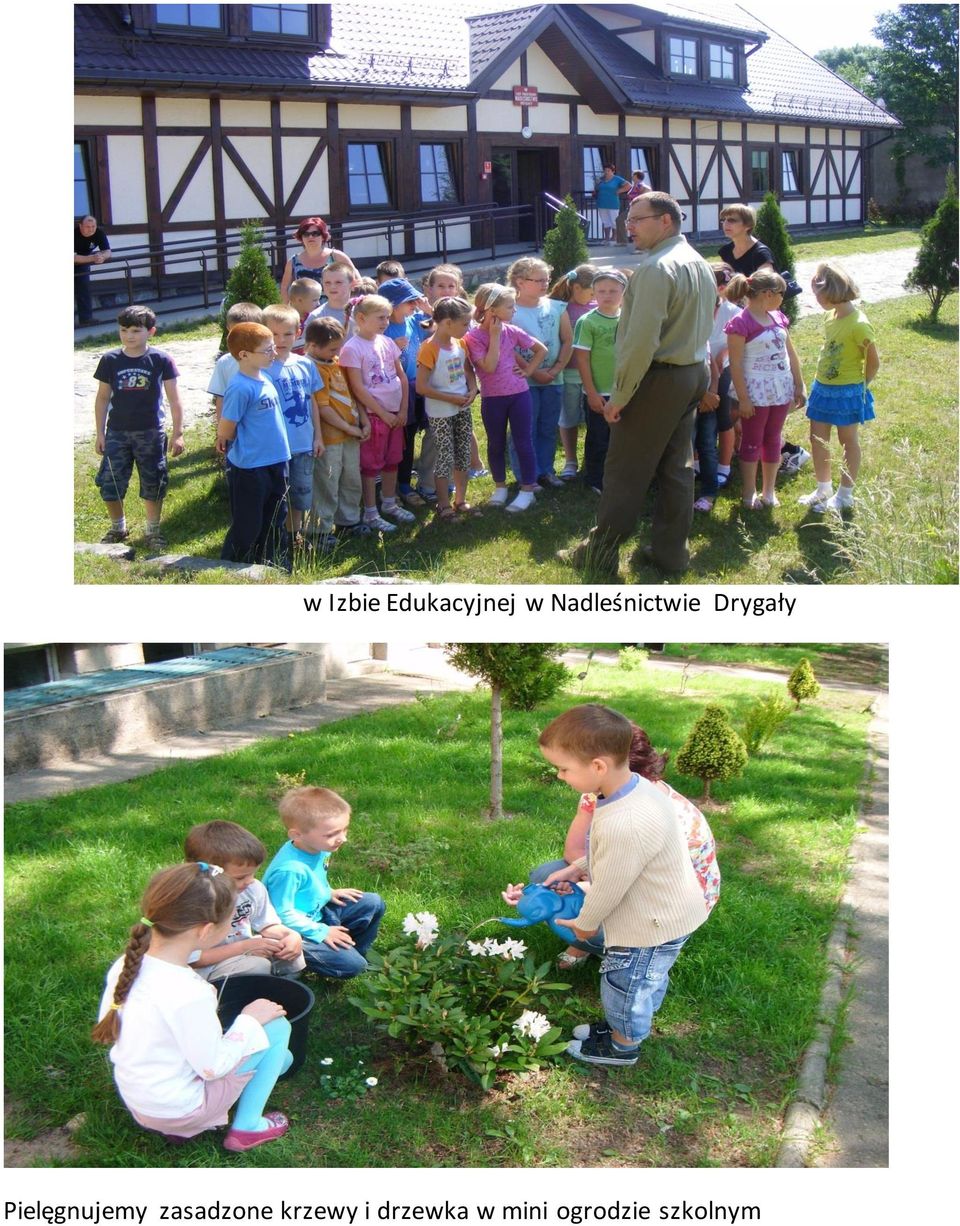 Pielęgnujemy zasadzone