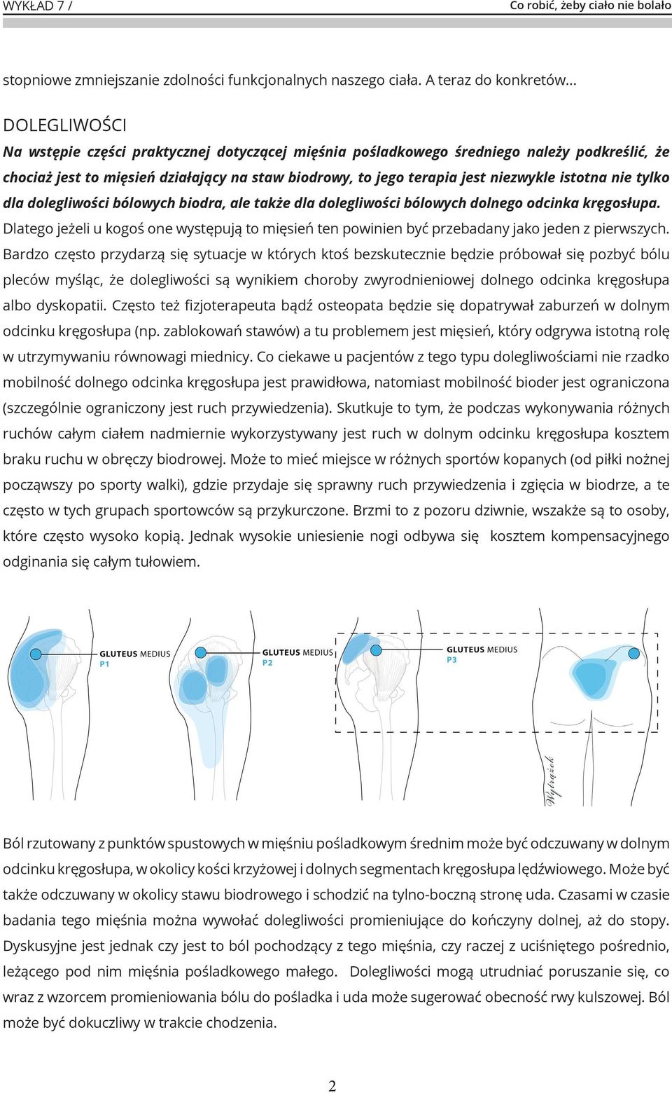 jest niezwykle istotna nie tylko dla dolegliwości bólowych biodra, ale także dla dolegliwości bólowych dolnego odcinka kręgosłupa.