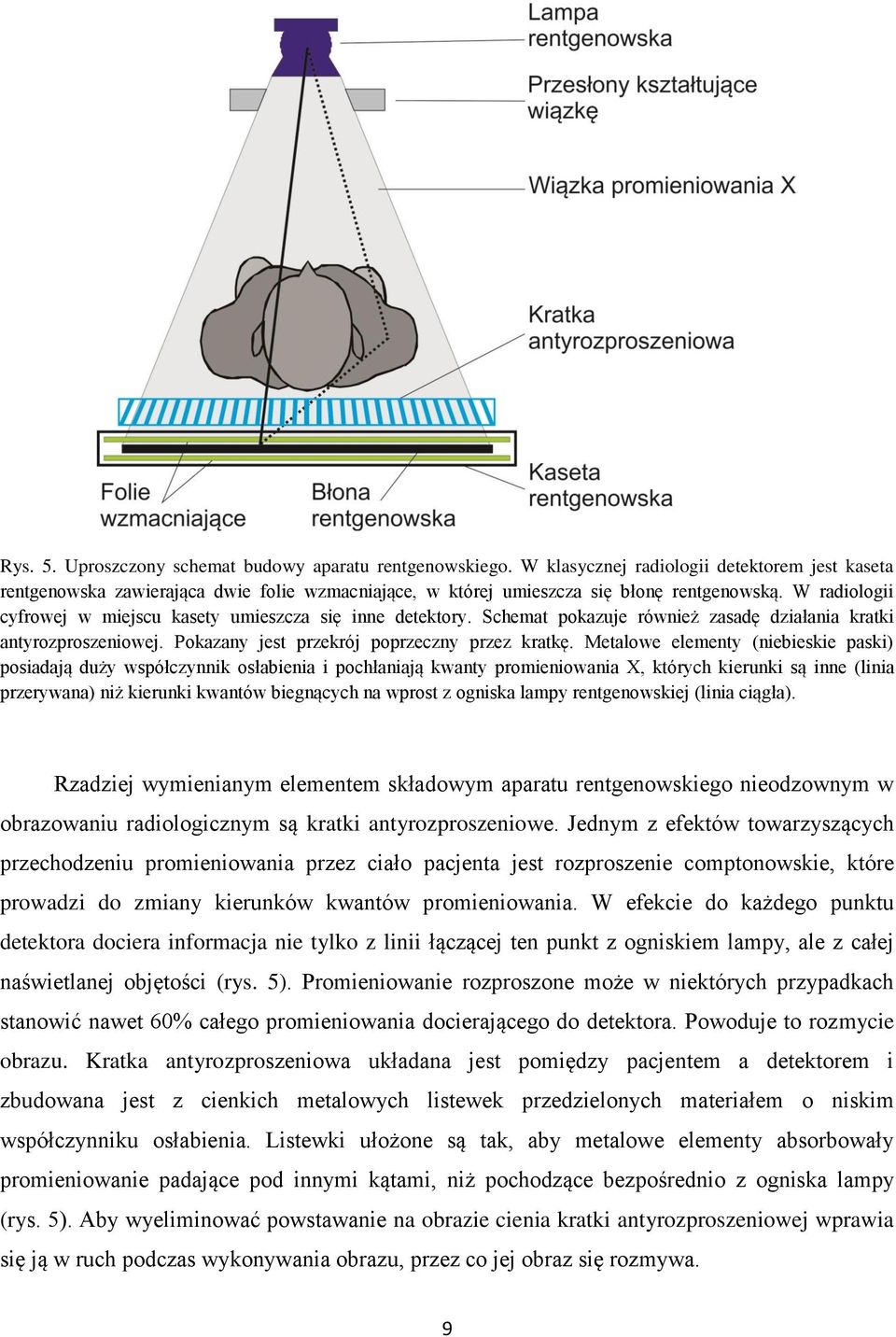 Metalowe elementy (niebieskie paski) posiadają duży współczynnik osłabienia i pochłaniają kwanty promieniowania X, których kierunki są inne (linia przerywana) niż kierunki kwantów biegnących na