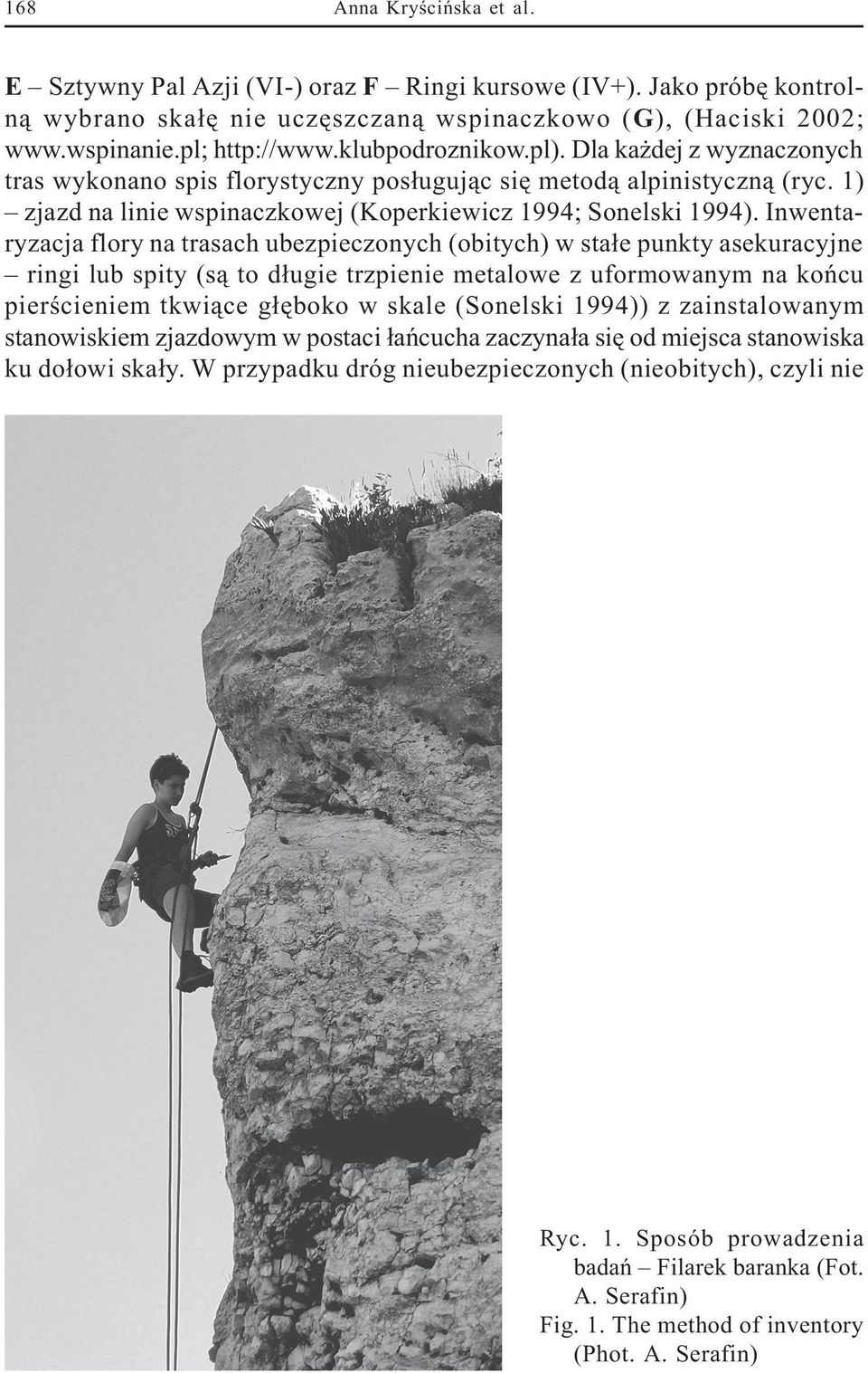 Inwentaryzacja flory na trasach ubezpieczonych (obitych) w sta³e punkty asekuracyjne ringi lub spity (s¹ to d³ugie trzpienie metalowe z uformowanym na koñcu pier cieniem tkwi¹ce g³êboko w skale