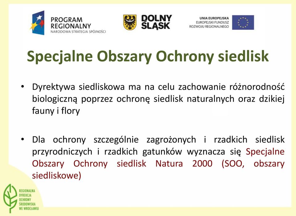 flory Dla ochrony szczególnie zagrożonych i rzadkich siedlisk przyrodniczych i