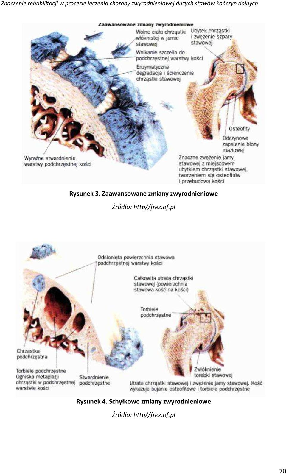 Źródło: http//frez.of.pl Rysunek 4.