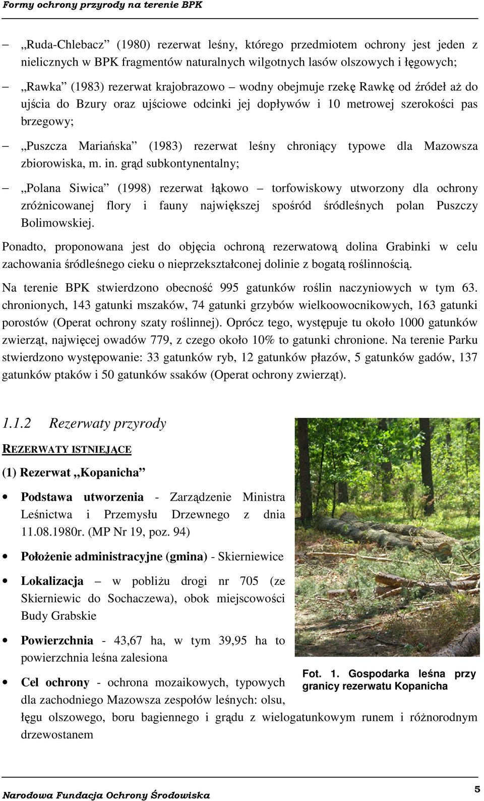 m. in. grąd subkontynentalny; Polana Siwica (1998) rezerwat łąkowo torfowiskowy utworzony dla ochrony zróżnicowanej flory i fauny największej spośród śródleśnych polan Puszczy Bolimowskiej.