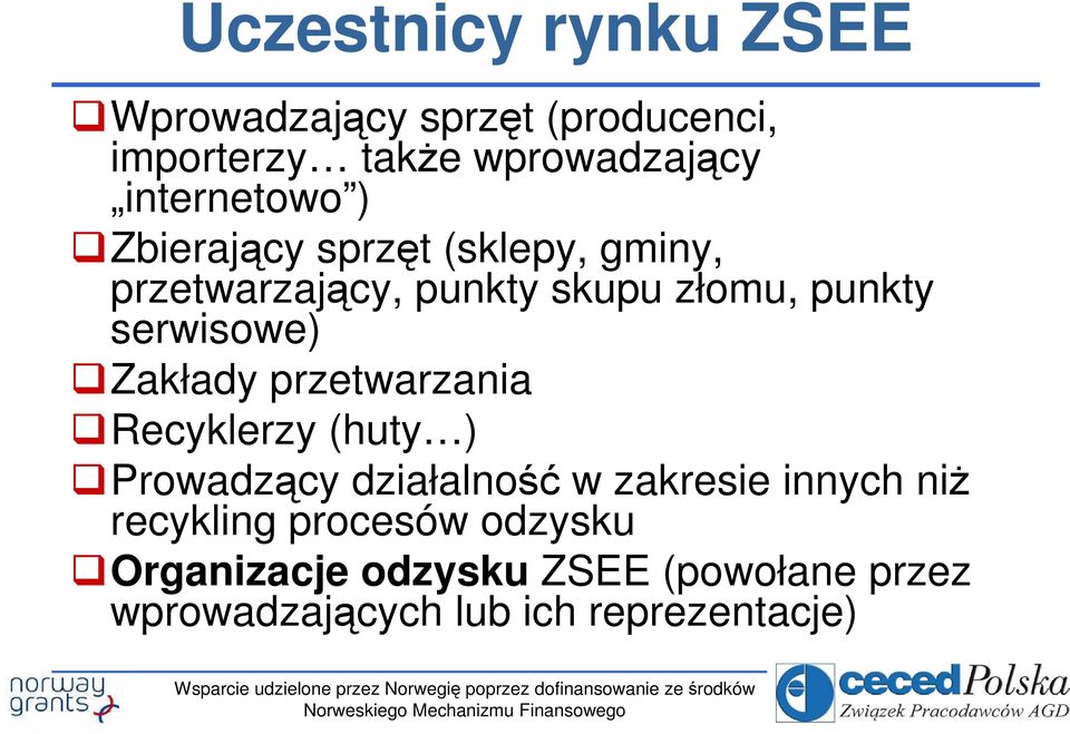 serwisowe) Zakłady przetwarzania Recyklerzy (huty ) Prowadzący działalność w zakresie innych