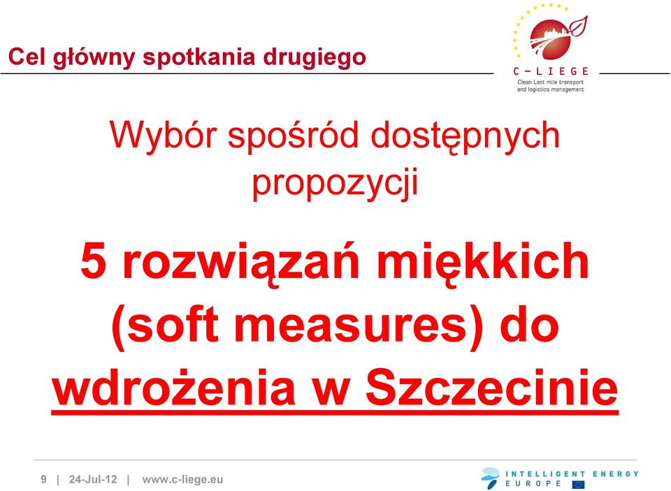 rozwiązań miękkich (soft measures) do