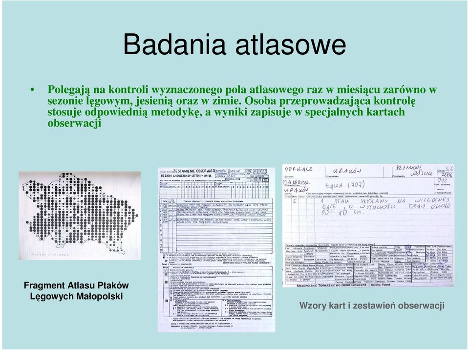 Osoba przeprowadzająca kontrolę stosuje odpowiednią metodykę, a wyniki zapisuje