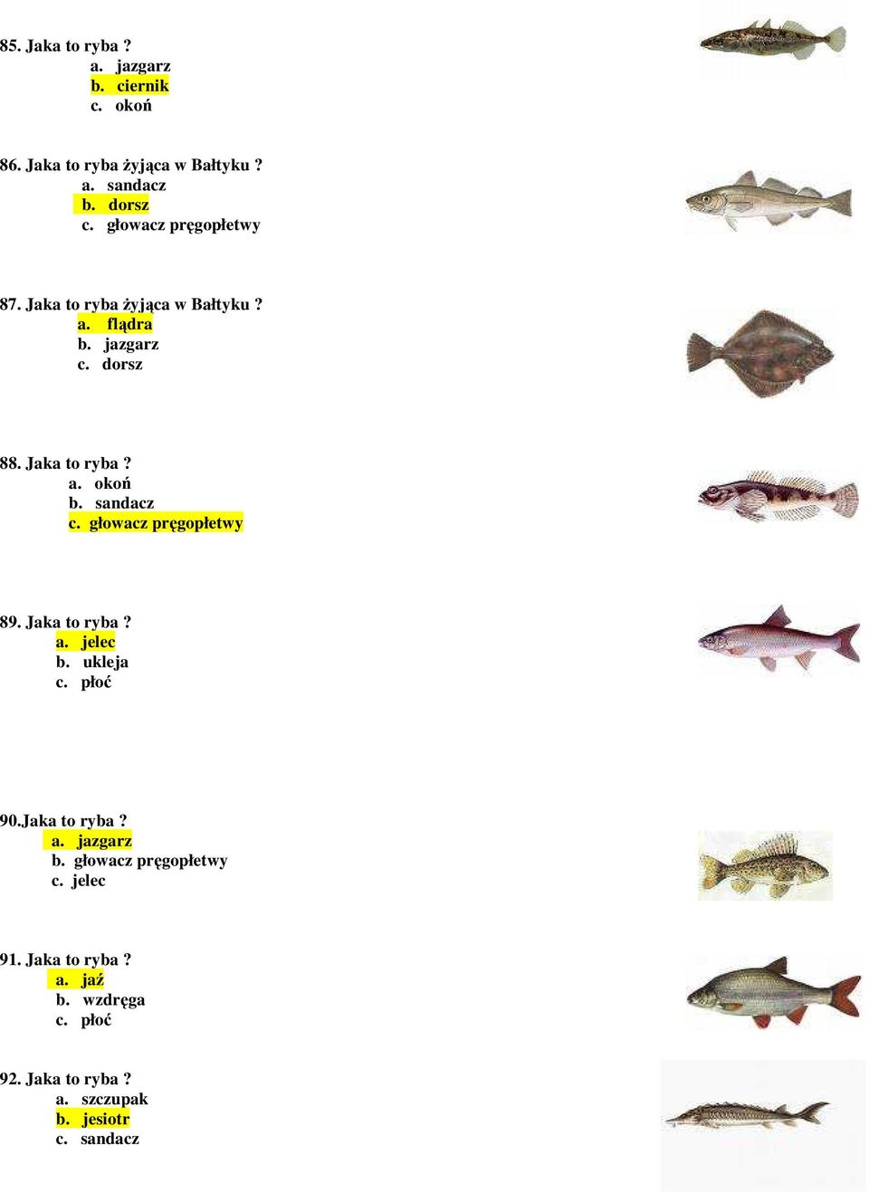 sandacz c. głowacz pręgopłetwy 89. Jaka to ryba? a. jelec b. ukleja c. płoć 90.Jaka to ryba? a. jazgarz b.