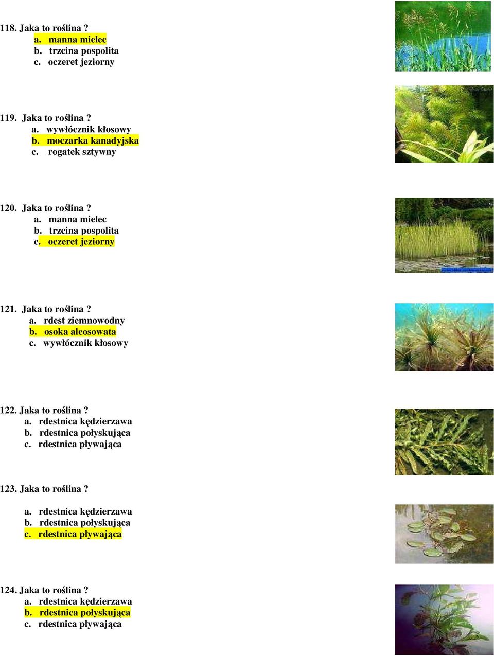 osoka aleosowata c. wywłócznik kłosowy 122. Jaka to roślina? a. rdestnica kędzierzawa b. rdestnica połyskująca c. rdestnica pływająca 123.